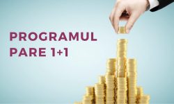 Statul cheamă diaspora acasă. ODIMM oferă bani pentru lansarea afacerilor prin programul PARE 1+!