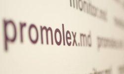 Alegeri parlamentare 2025: Promo-LEX a lansat misiunea de observare a scrutinului