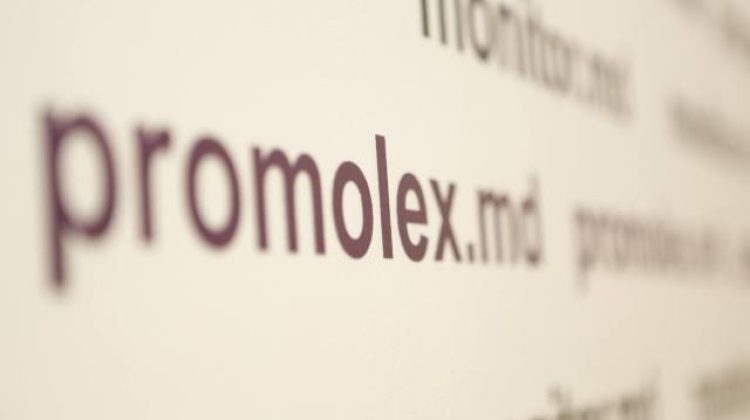 Alegeri parlamentare 2025: Promo-LEX a lansat misiunea de observare a scrutinului