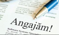 Cele mai plătite locuri de muncă vacante în Republica Moldova