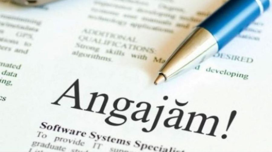 Cele mai plătite locuri de muncă vacante în Republica Moldova