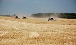 Războiul din Ucraina – o catastrofă pentru agricultură și industria alimentelor. Prețurile vor exploda