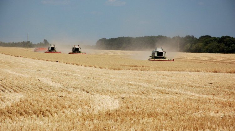 Războiul din Ucraina – o catastrofă pentru agricultură și industria alimentelor. Prețurile vor exploda