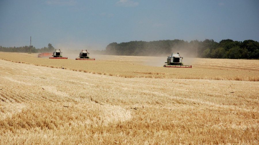 Războiul din Ucraina – o catastrofă pentru agricultură și industria alimentelor. Prețurile vor exploda
