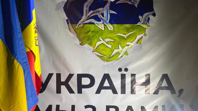 (VIDEO) Vinăria Purcari a instalat un cort la Palanca. Ce fel de ajutor primesc refugiații din partea companiei