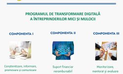 10 milioane de lei vor fi acordate pentru transformarea digitală a întreprinderilor mici și mijlocii