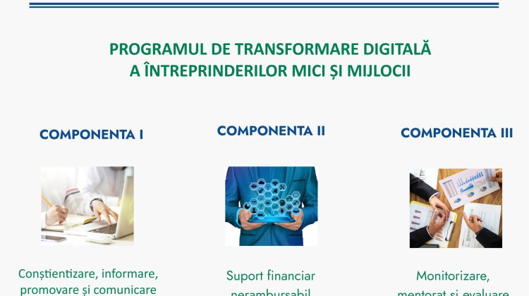 10 milioane de lei vor fi acordate pentru transformarea digitală a întreprinderilor mici și mijlocii