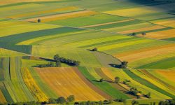 Exproprieri de amploare în toată Moldova: 70% și-au primit banii, ceilalți mai au 3 ani la dispoziție