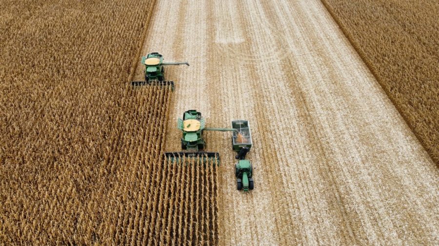 Agricultura moldovenească dă marea lovitură. Creștere spectaculoasă din ultimii cel puțin 70 de ani