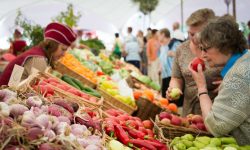 Scumpiri de la o zi la alta. Inflația a ajuns la 18,5%