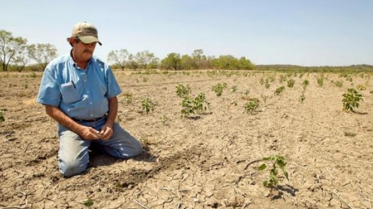 CSE deschide punga: despăgubiri de 100 milioane lei pentru agricultori