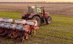 Războiul nu este o piedică! Ucraina a crescut suprafața însămânțată cu diverse culturi de primăvară cu 10%