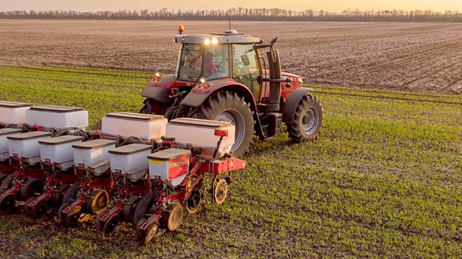 Războiul nu este o piedică! Ucraina a crescut suprafața însămânțată cu diverse culturi de primăvară cu 10%