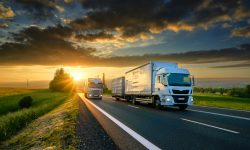 Transportatorii, alertați, au venit la Guvern: Repartizarea CEMT – inechitabilă și subminează investițiile (DOC)