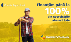 Creditele agro de la Moldindconbank – finanțare avantajoasă pentru agricultură de succes