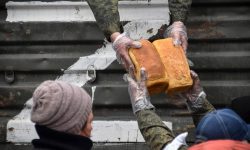 Banca Mondială avertizează asupra unei „catastrofe umane” provocată de criza de alimente