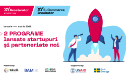 29 startupuri și 127 mentori: totalurile XY Partners pentru primul semestru din 2022