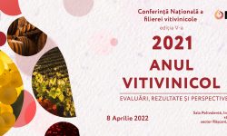 „Anul vitivinicol 2021: evaluări, rezultate și perspective”. 434 mln lei – investițiile în viticultură și vinificație
