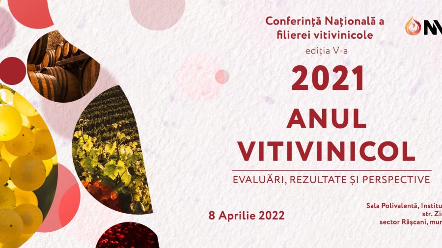 „Anul vitivinicol 2021: evaluări, rezultate și perspective”. 434 mln lei – investițiile în viticultură și vinificație