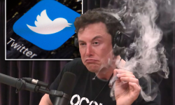 Cine sunt cei mai mari pierzători din haosul creat de Elon Musk cu ”tranzacția” Twitter