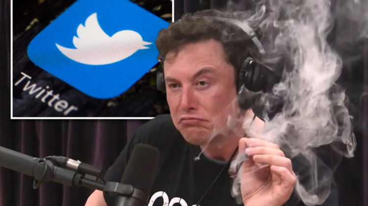 Băncile care au finanţat achiziţia Twitter a lui Elon Musk s-au îngropat în datorii de 13 miliarde dolari