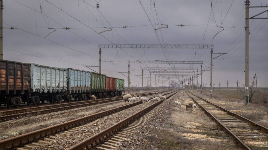 Republica Moldova intenționează să impună restricții temporare pentru cerealele ucrainene