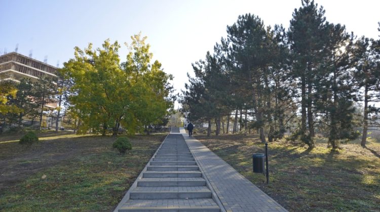 (DOC) De la 4 lei la 10 lei! Se scumpesc biletele de acces în parcul Dendrariu