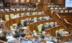 Corporațiile milionare, mai importante decât artiștii naționali. Proiectul AGEPI votat cu viteaza luminii