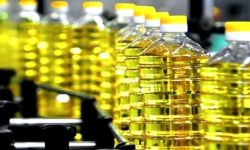 Industria uleiului din Moldova, la pământ: exporturile s-au prăbușit de 12 ori