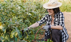 Eveniment pentru angajatorii și studenții din domeniul agricol. Va fi organizat un târg al locurilor de muncă