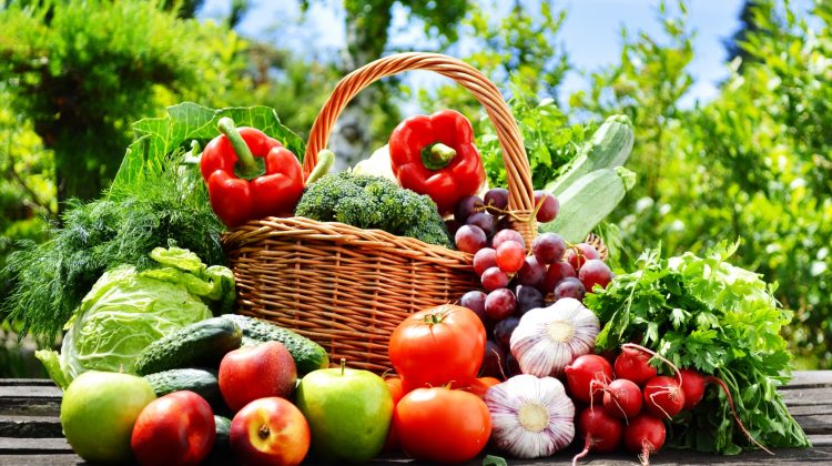 Fără controale pentru cei corecți: agricultorii vor putea obține certificat de scutire a verificării calității