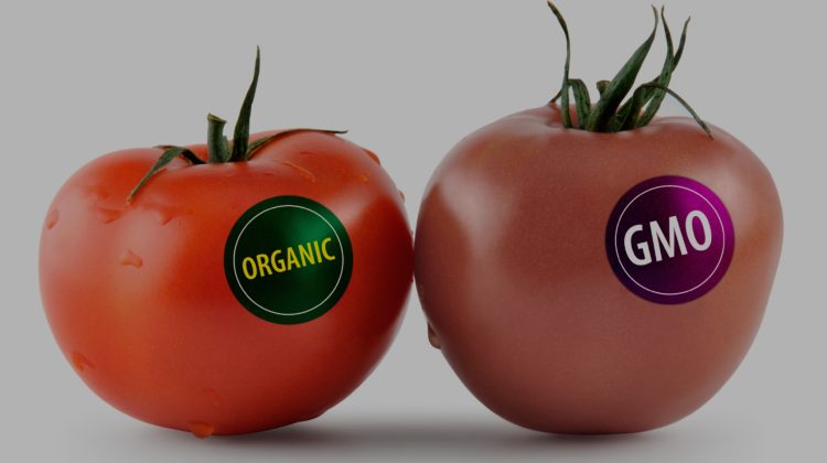 Mâncarea modificată genetic! Autoritățile vor trage pe dreapta businessmenii care vor să-i îmbolnăvească pe moldoveni