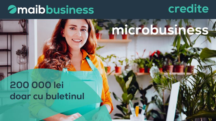 Afacerile mici cresc împreună cu maib