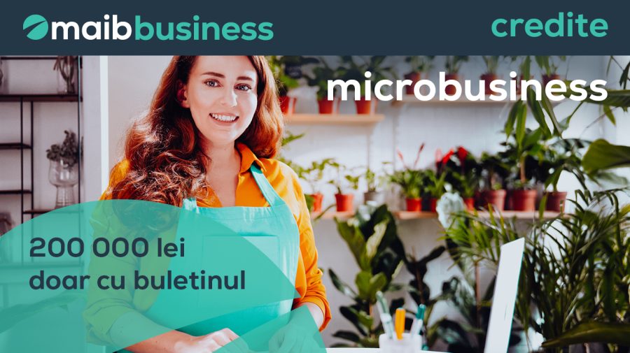 Afacerile mici cresc împreună cu maib