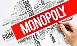 Corupție la supra-preț! Jocul cu monopoliștii. Ioniță: Funcționarii corupți sabotează demonopolizarea economiei