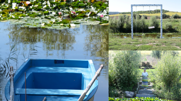 (FOTO) Au înflorit nuferii! Când se deschid spațiile pentru vizitatori: preț pentru vizite și plimbări cu barca