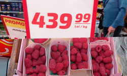 (FOTO) Prețuri amețitoare! Un kilogram de zmeură costă cât circa 4kg de carne de porc