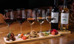 Vinurile Castel Mimi – jumătate de milion de sticle consumate anual de experți și amatori, din Japonia până în Canada