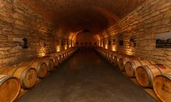 Comoara din beci. Cum s-a îmbogățit un bărbat peste noapte