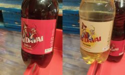 Produsele vitivinicole îmbuteliate în PET-uri vor fi certificate pe loturi