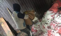 (FOTO) Atenție consumatori! 4.200 kg de carne de pui vor fi interzise spre comercializare. Ce a descoperit ANSA