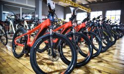 Cei mai mari producători de biciclete din UE. România se regăsește în TOP 5
