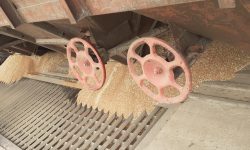 Regele cerealelor mișcă piesele! Planul care poate zgudui piața din București