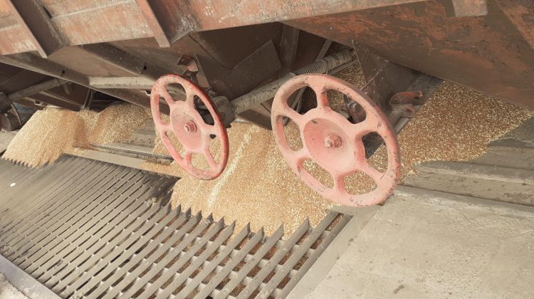 Regele cerealelor mișcă piesele! Planul care poate zgudui piața din București