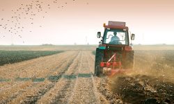 Fermierii au ajuns la disperare! Bolea: Fondul de subvenționare rămâne neschimbat – 1,5 miliarde de lei