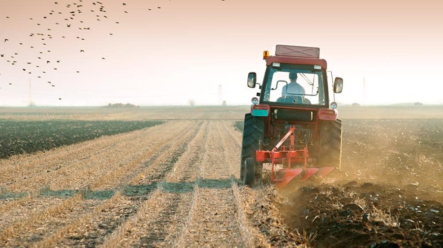 Fermierii au ajuns la disperare! Bolea: Fondul de subvenționare rămâne neschimbat – 1,5 miliarde de lei