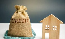 Cu cât s-a împrumutat businessul de la bănci în luna august