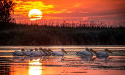 (FOTO) Cele mai frumoase locuri din România pe care să le vizitezi în această toamnă