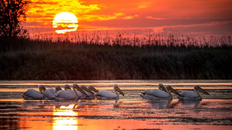 (FOTO) Cele mai frumoase locuri din România pe care să le vizitezi în această toamnă