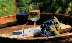 (VIDEO) De Ziua Națională a Vinului, CCI a RM va premia învingătorii concursului „Polobocul de Aur”